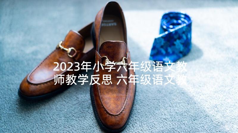 2023年小学六年级语文教师教学反思 六年级语文教学反思(大全5篇)