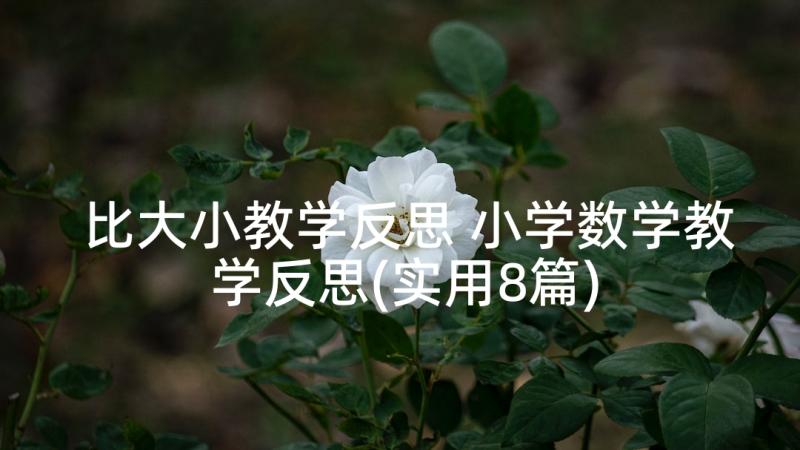 比大小教学反思 小学数学教学反思(实用8篇)