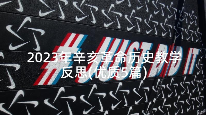 2023年辛亥革命历史教学反思(优质5篇)