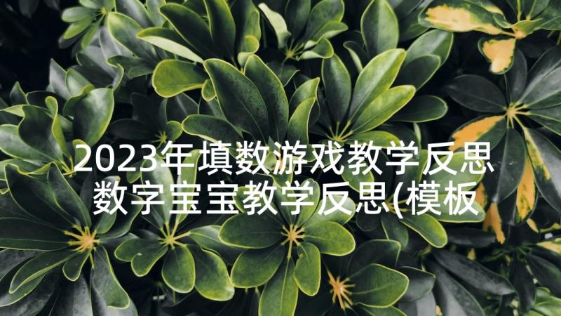 2023年填数游戏教学反思 数字宝宝教学反思(模板7篇)