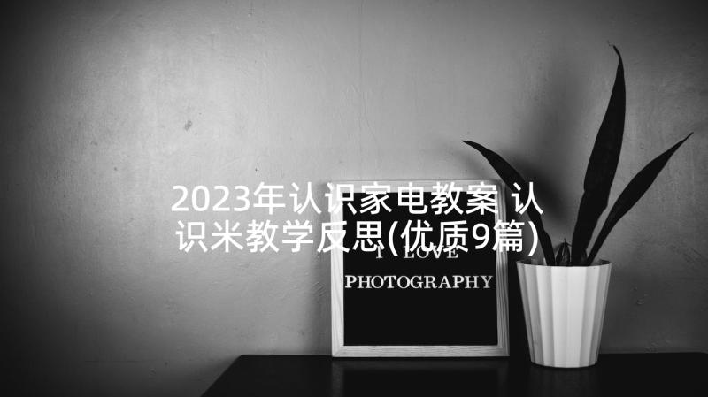 2023年认识家电教案 认识米教学反思(优质9篇)