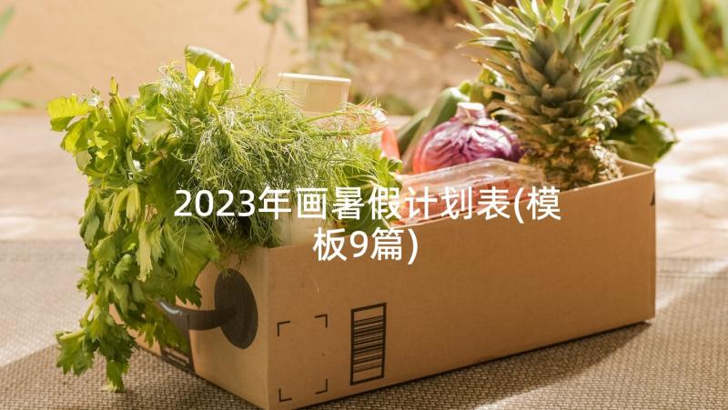 2023年画暑假计划表(模板9篇)