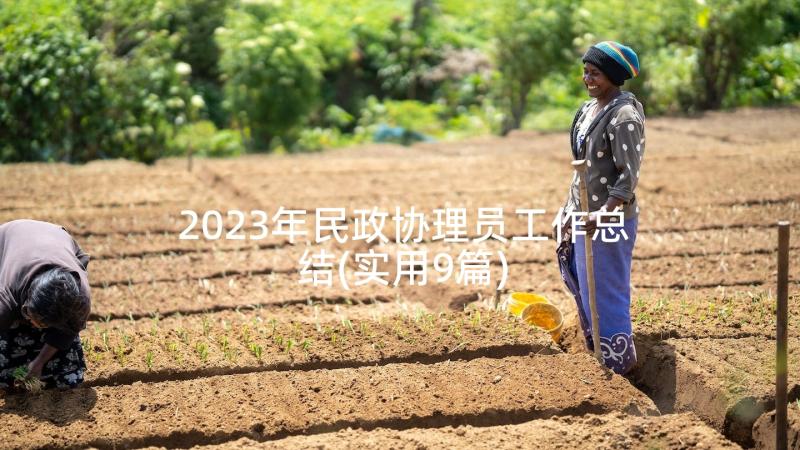 2023年民政协理员工作总结(实用9篇)