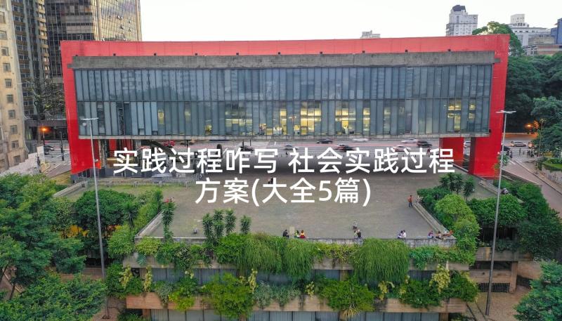 实践过程咋写 社会实践过程方案(大全5篇)