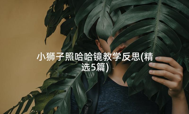 小狮子照哈哈镜教学反思(精选5篇)