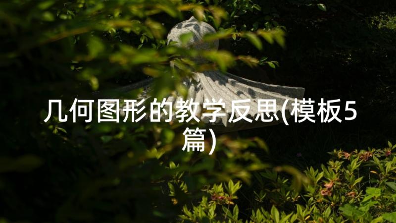 几何图形的教学反思(模板5篇)