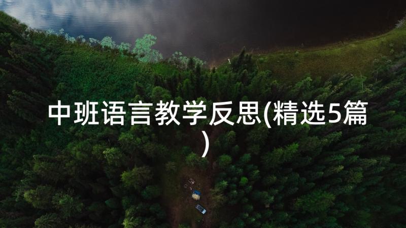 中班语言教学反思(精选5篇)