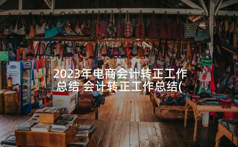 2023年电商会计转正工作总结 会计转正工作总结(汇总5篇)