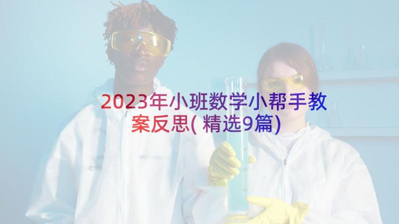 2023年小班数学小帮手教案反思(精选9篇)