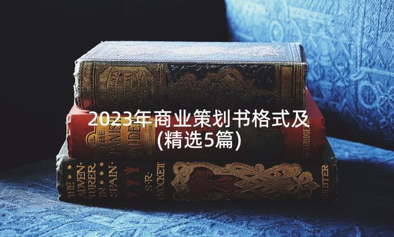 2023年商业策划书格式及(精选5篇)