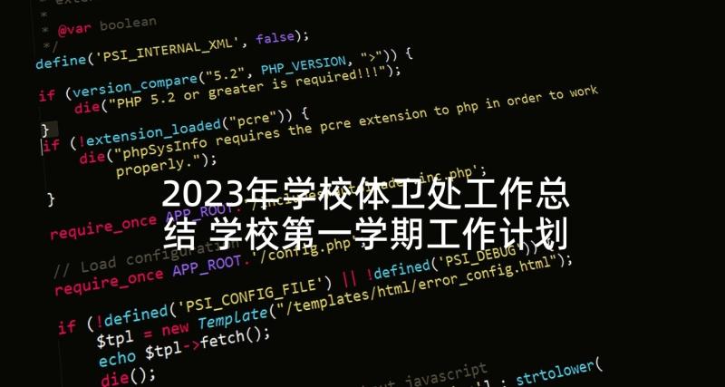 2023年学校体卫处工作总结 学校第一学期工作计划(大全6篇)