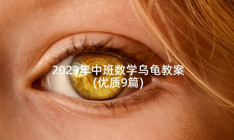 2023年中班数学乌龟教案(优质9篇)