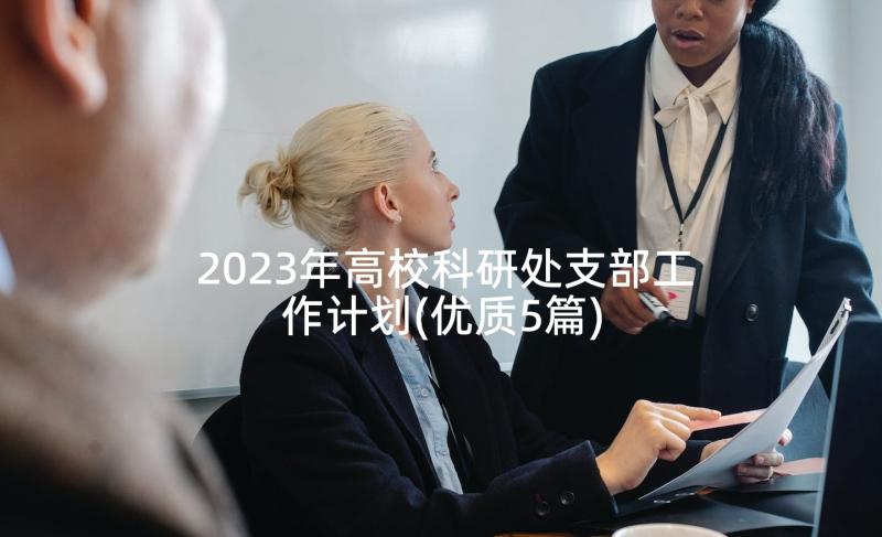 2023年高校科研处支部工作计划(优质5篇)