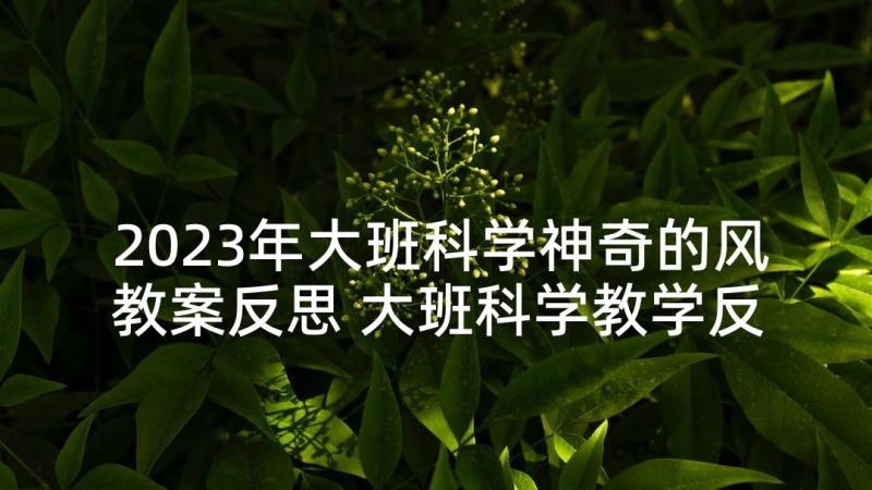 2023年大班科学神奇的风教案反思 大班科学教学反思(精选8篇)