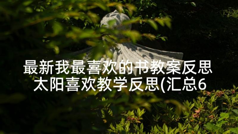 最新我最喜欢的书教案反思 太阳喜欢教学反思(汇总6篇)