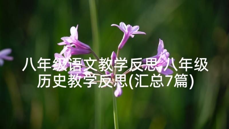 八年级语文教学反思 八年级历史教学反思(汇总7篇)