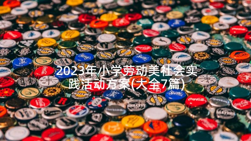 2023年小学劳动美社会实践活动方案(大全7篇)