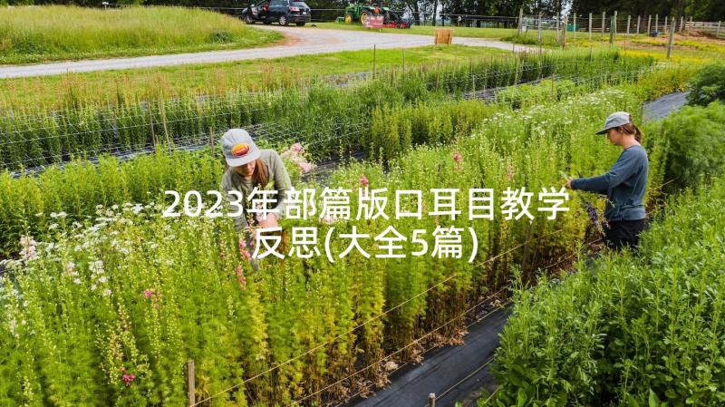 2023年部篇版口耳目教学反思(大全5篇)