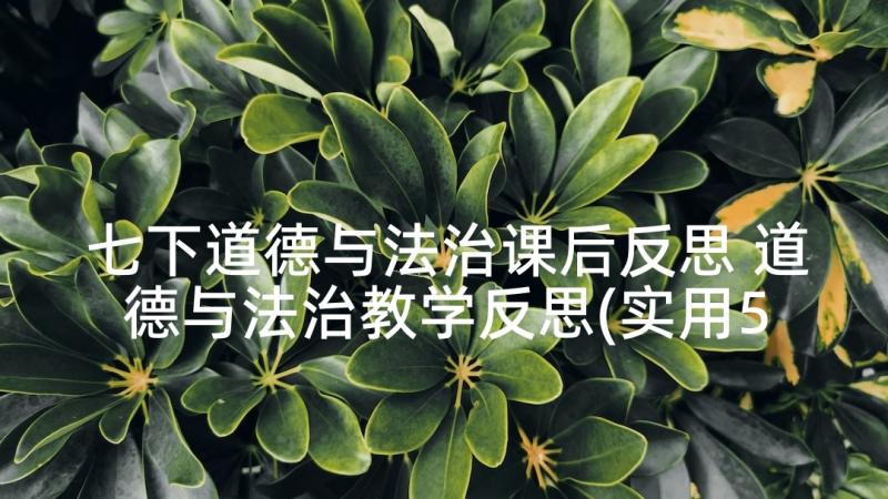 七下道德与法治课后反思 道德与法治教学反思(实用5篇)