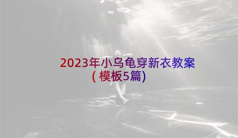 2023年小乌龟穿新衣教案(模板5篇)