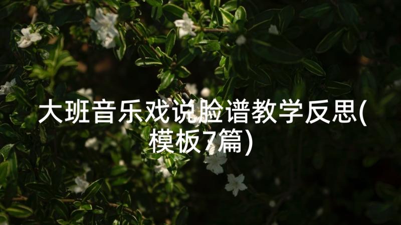 大班音乐戏说脸谱教学反思(模板7篇)