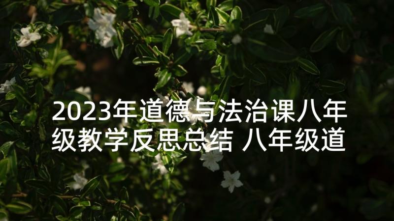 2023年道德与法治课八年级教学反思总结 八年级道德与法治教学反思(汇总5篇)