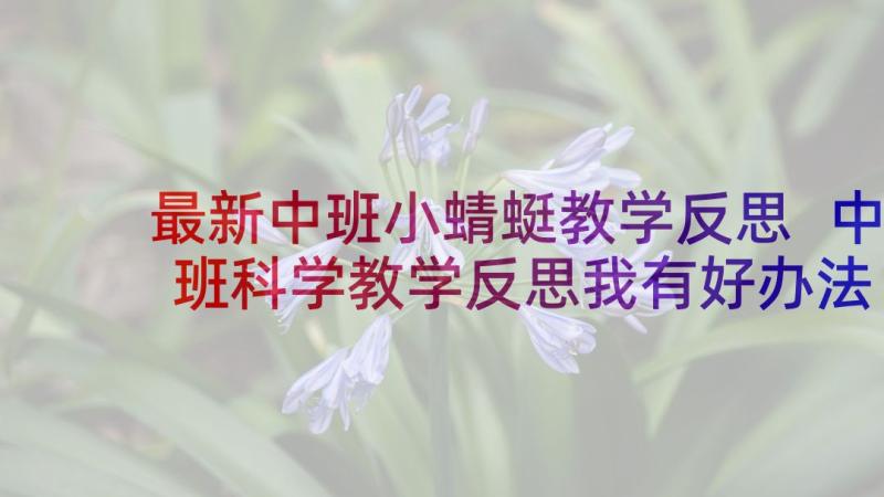 最新中班小蜻蜓教学反思 中班科学教学反思我有好办法(汇总9篇)