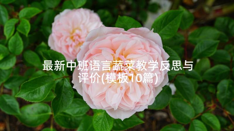 最新中班语言蔬菜教学反思与评价(模板10篇)