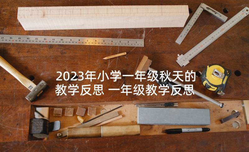 2023年小学一年级秋天的教学反思 一年级教学反思(模板6篇)