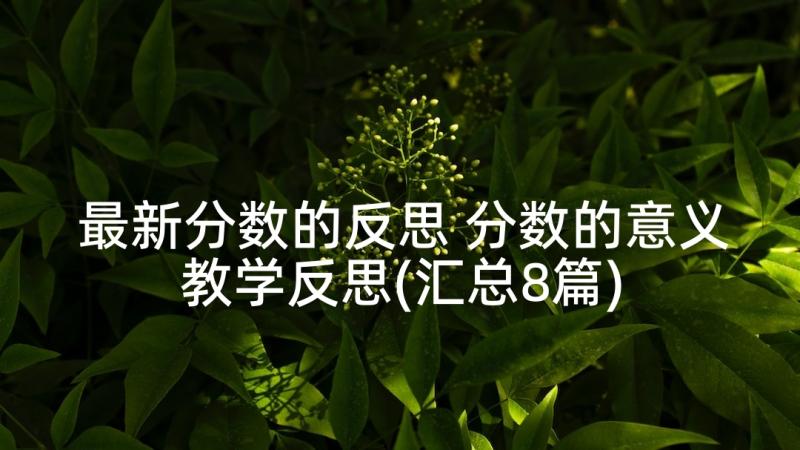 最新分数的反思 分数的意义教学反思(汇总8篇)