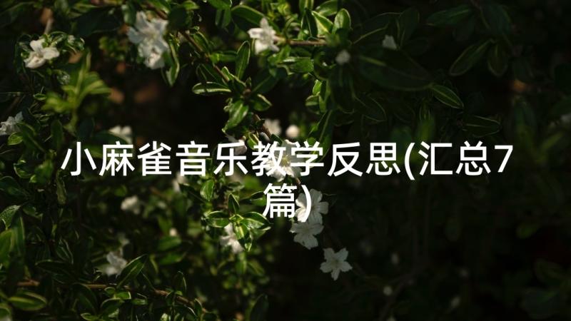 小麻雀音乐教学反思(汇总7篇)