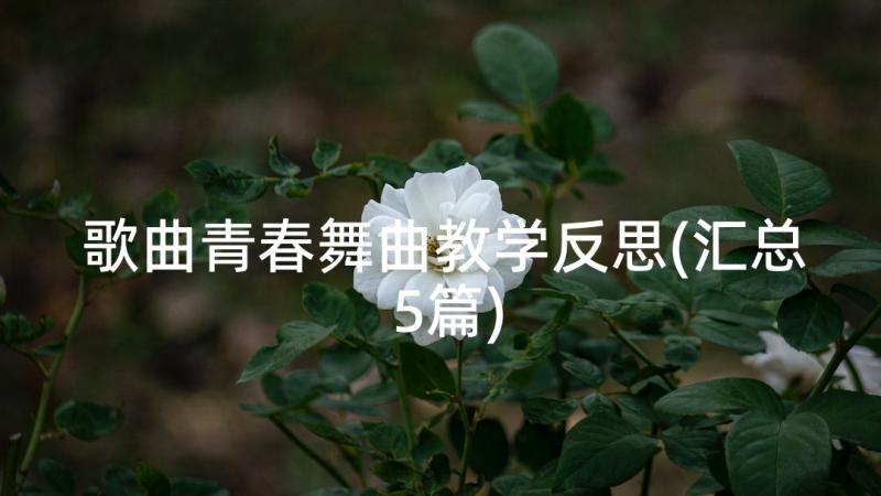 歌曲青春舞曲教学反思(汇总5篇)