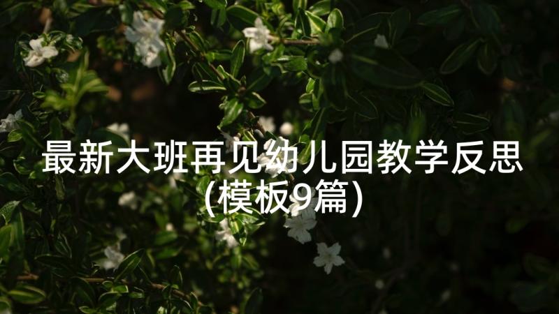 最新大班再见幼儿园教学反思(模板9篇)