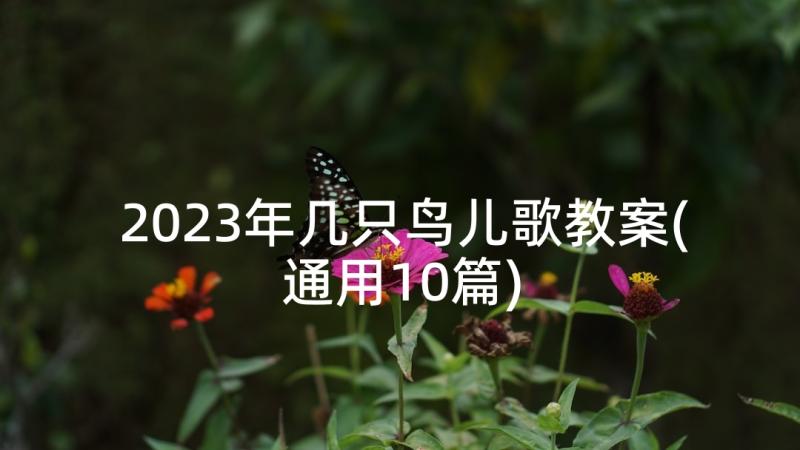 2023年几只鸟儿歌教案(通用10篇)