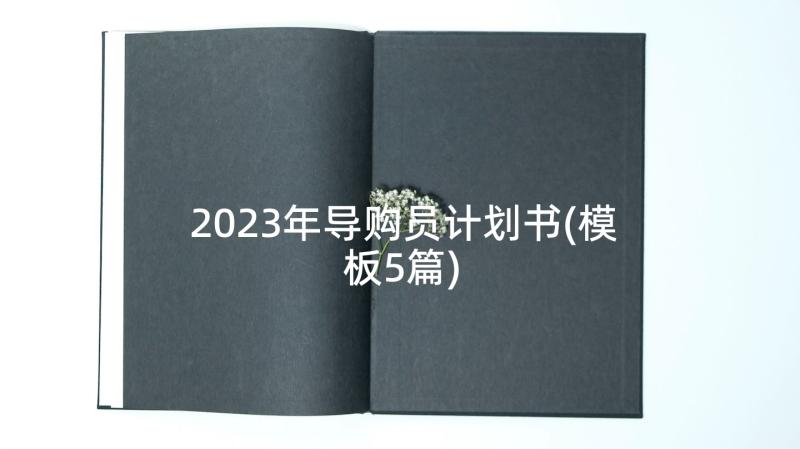 2023年导购员计划书(模板5篇)