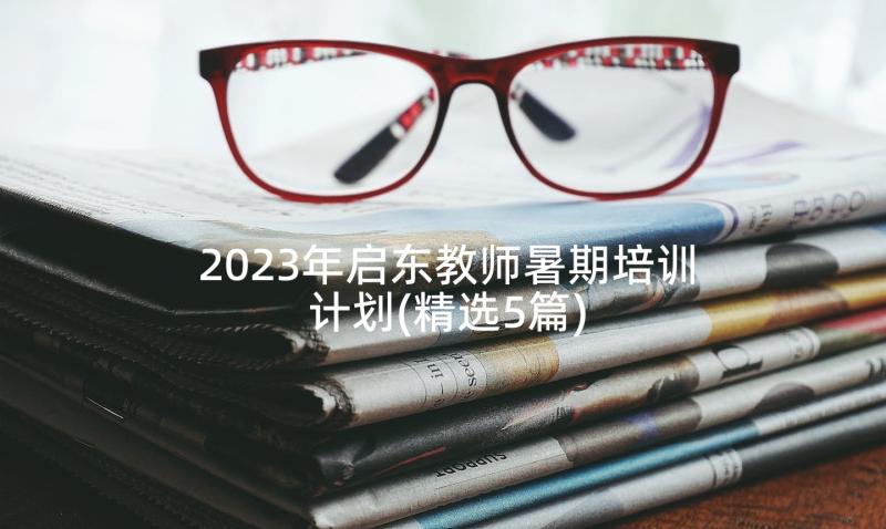 2023年启东教师暑期培训计划(精选5篇)