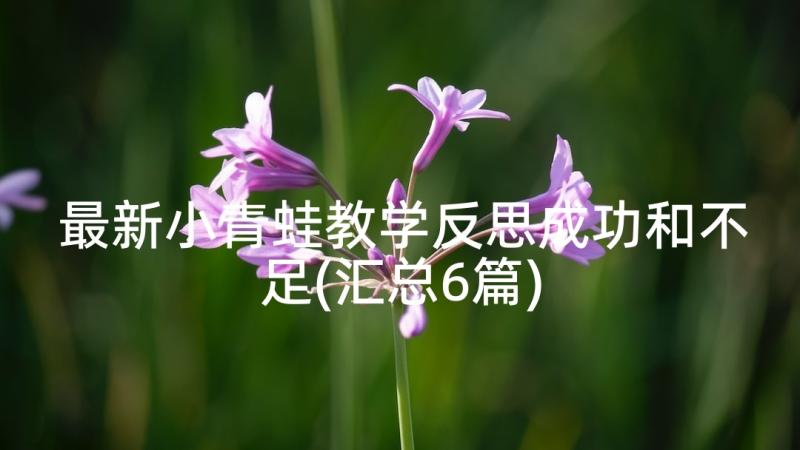 最新小青蛙教学反思成功和不足(汇总6篇)