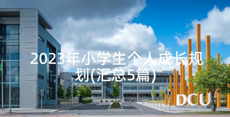 2023年小学生个人成长规划(汇总5篇)