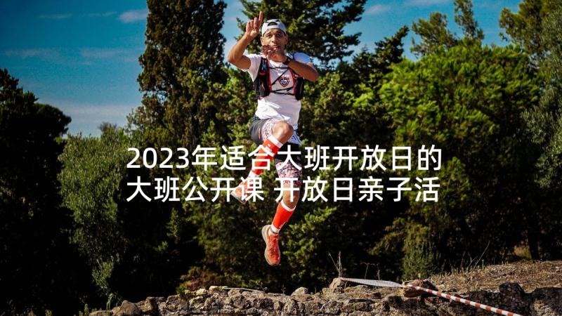 2023年适合大班开放日的大班公开课 开放日亲子活动方案(汇总8篇)