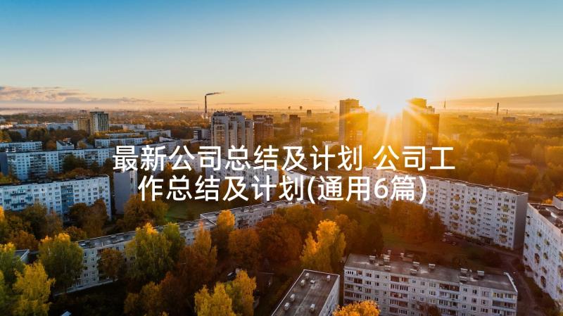 最新公司总结及计划 公司工作总结及计划(通用6篇)