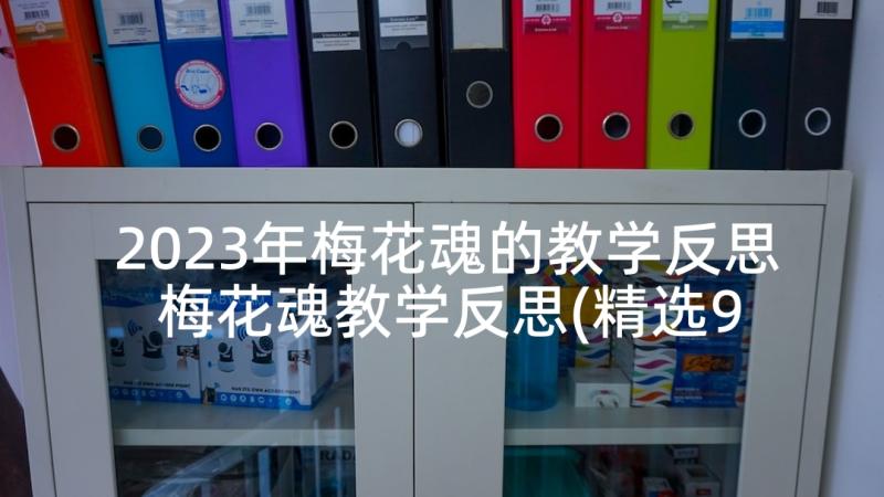 2023年梅花魂的教学反思 梅花魂教学反思(精选9篇)