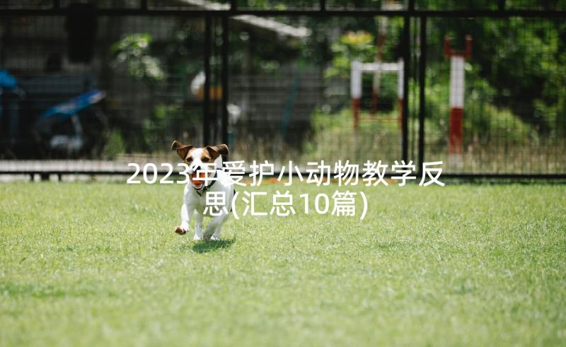 2023年爱护小动物教学反思(汇总10篇)