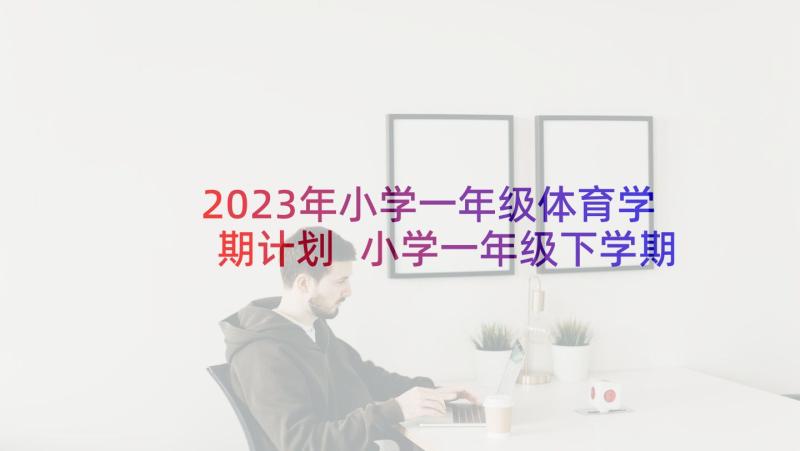 2023年小学一年级体育学期计划 小学一年级下学期体育教学计划(汇总9篇)