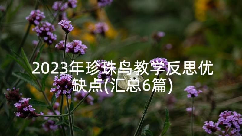 2023年珍珠鸟教学反思优缺点(汇总6篇)