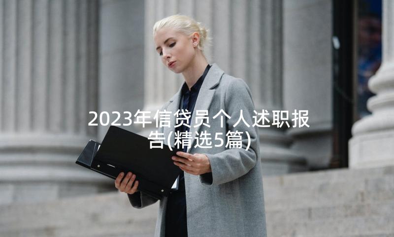 2023年信贷员个人述职报告(精选5篇)