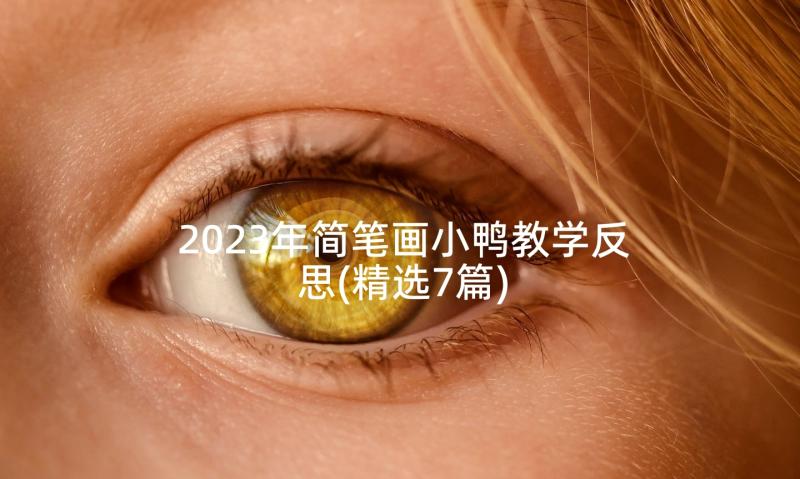 2023年简笔画小鸭教学反思(精选7篇)