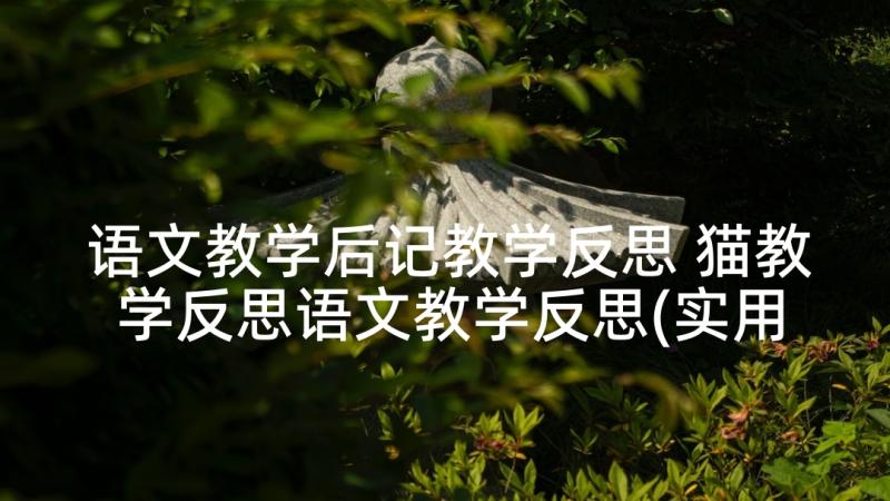 语文教学后记教学反思 猫教学反思语文教学反思(实用6篇)