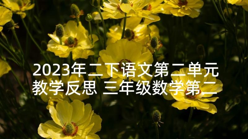 2023年二下语文第二单元教学反思 三年级数学第二单元教学反思(汇总5篇)