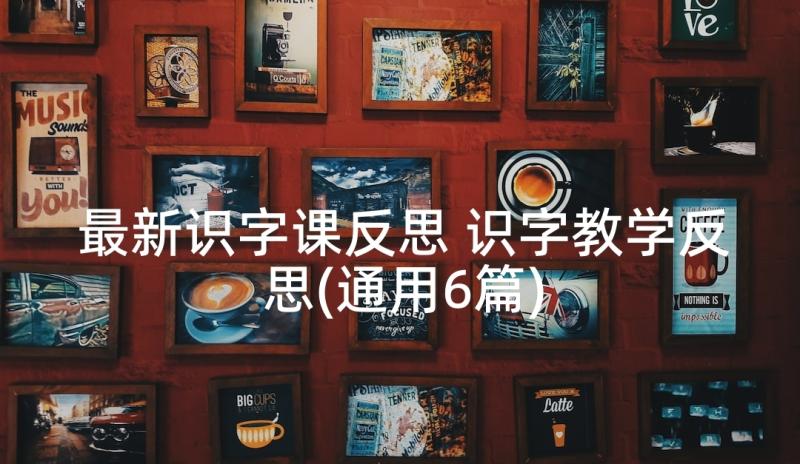 最新识字课反思 识字教学反思(通用6篇)