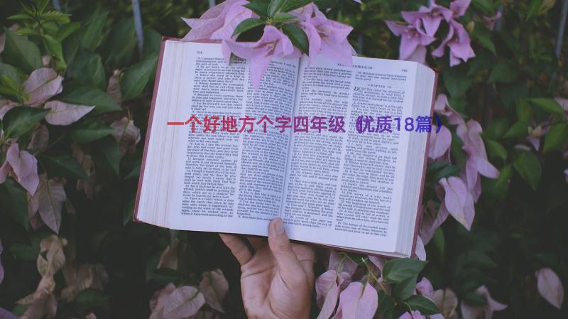 一个好地方个字四年级（优质18篇）